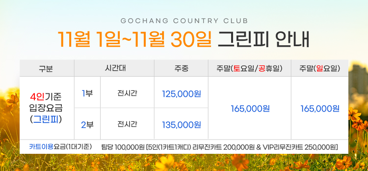 11월-요금