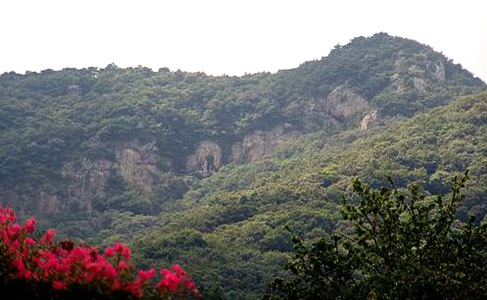 선운사